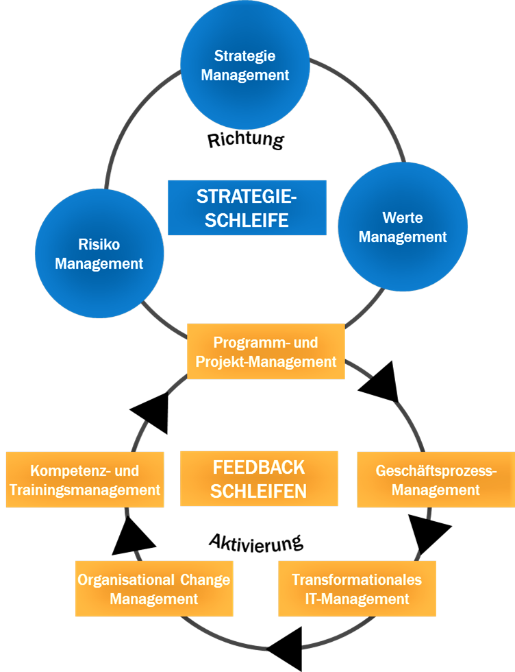 Der Rahmen des Meta-Managements
